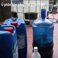 Phương pháp ủ phân bằng chế phẩm EM